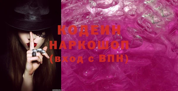 индика Володарск