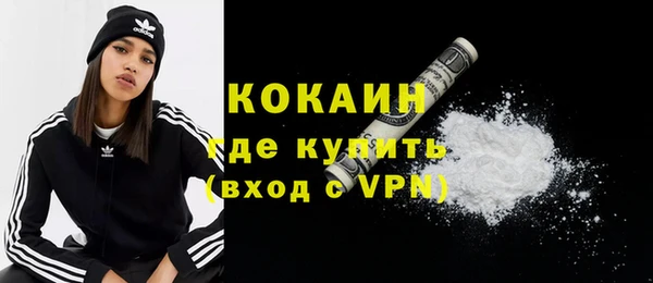 индика Володарск