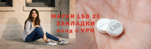 индика Володарск