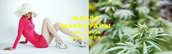 индика Володарск