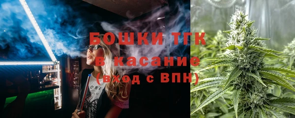 индика Володарск