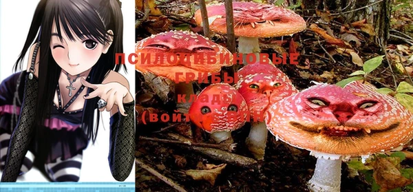 индика Володарск