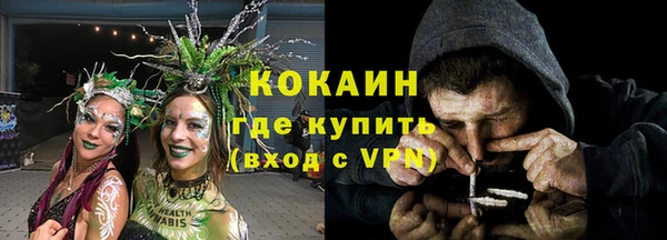 индика Володарск