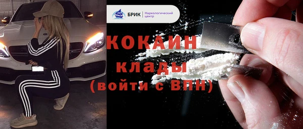 индика Володарск