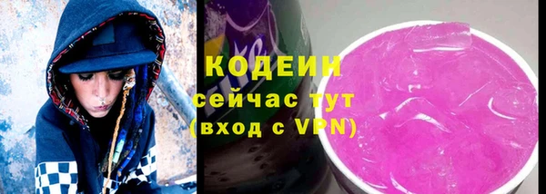индика Володарск