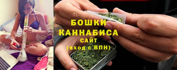индика Володарск