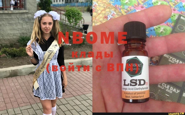 индика Володарск