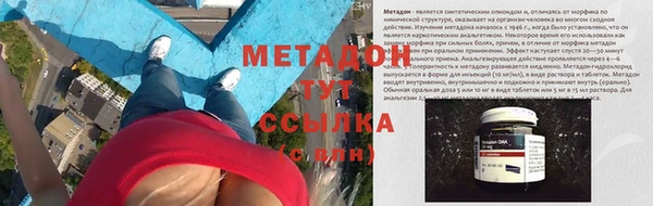 индика Володарск