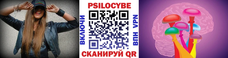 Галлюциногенные грибы Psilocybine cubensis  Ипатово 