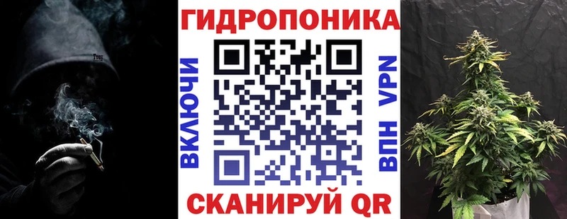 Бошки Шишки сатива Ипатово